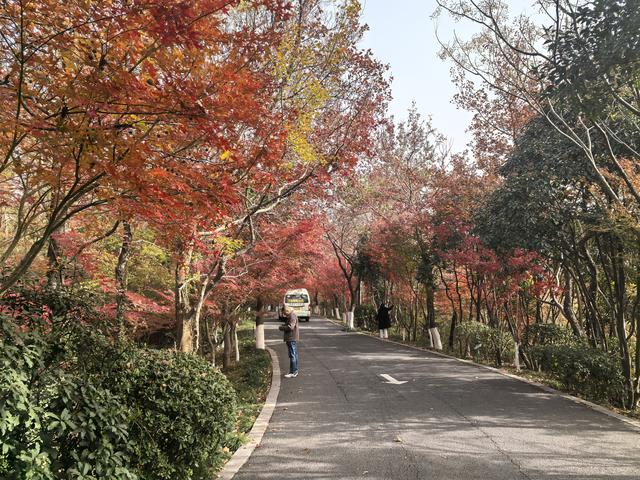 南京栖霞山一日徒步，游千年古刹，看漫山红叶