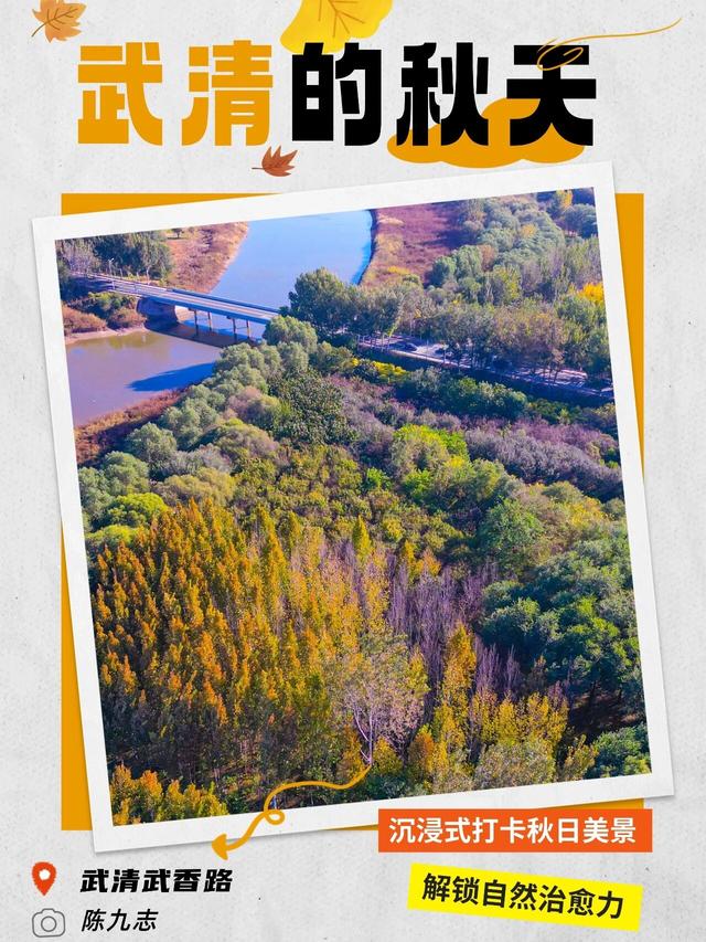 嗨，你的秋天留住了吗？