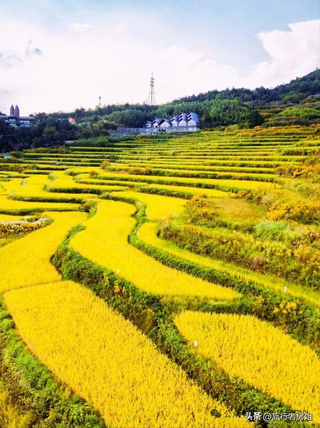 徒步奉化大雷山，古村、古道、梯田、秋景全部包揽