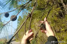 女性更年期浑身疼，闺蜜告诉我一招，轻松解决图片