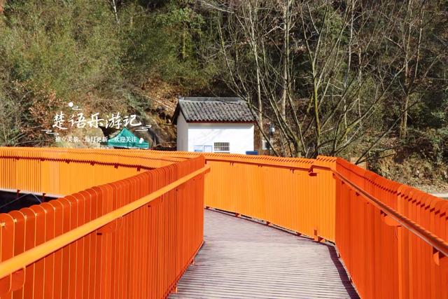 浙江绍兴雪窦岭的水上杉林，被誉为“江南小九寨”，现实却是这样