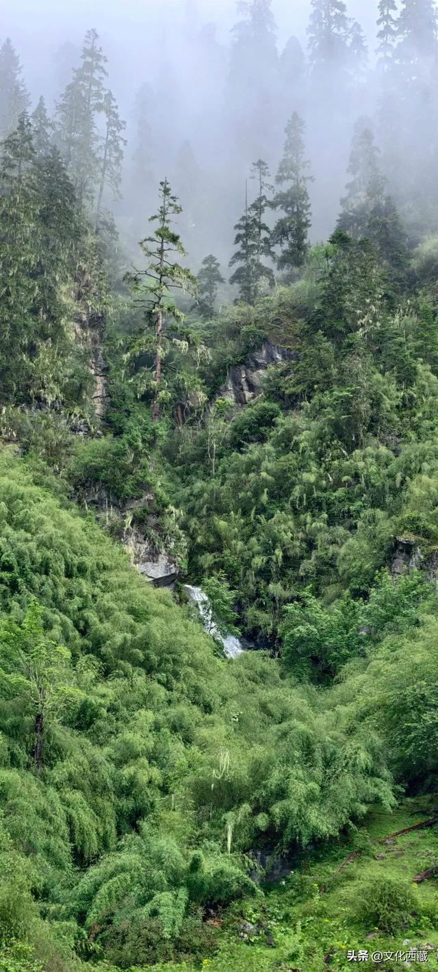 一路太多美景！离开浪浪山，去西藏这里开启一场山野漫游！