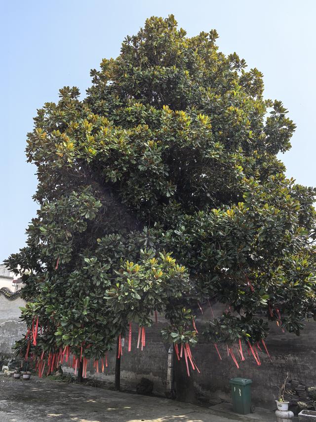 2026年春宜昌恩施自驾游（十一）荆紫关古镇