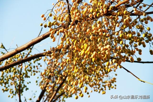 转了一个小圈·及其它