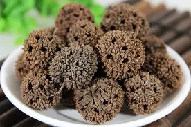 前列腺增生，通癃开闭，2味敌千军！图片