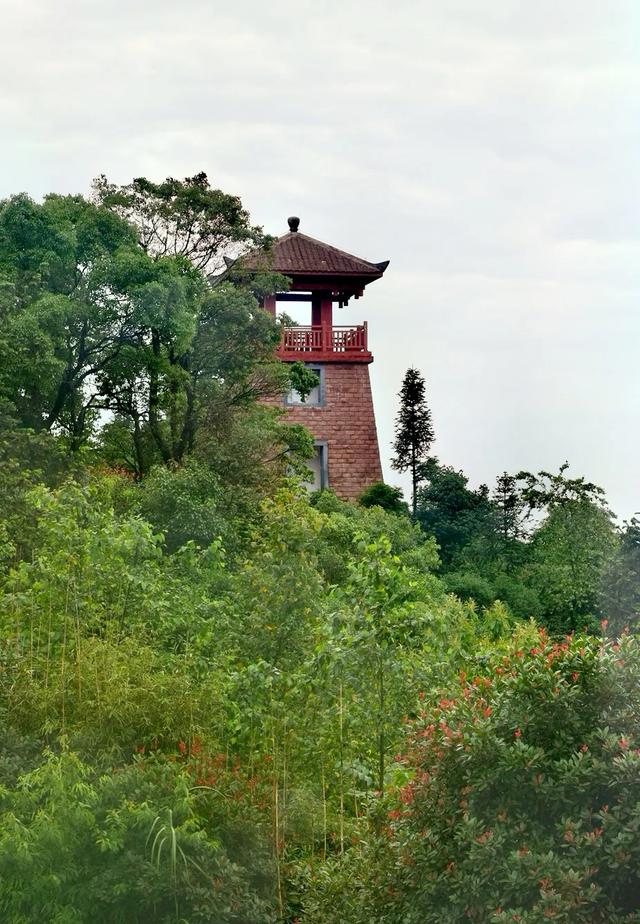 神奇骆崃山 ， 99匹骏马想与你相见