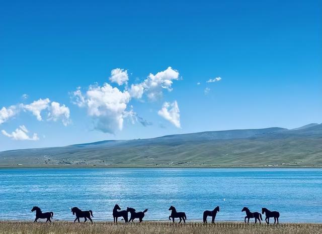 高原明珠青海湖