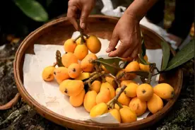 枇杷虽好，但多吃伤脾？医生提醒：脾胃不好的人这3样食物要少吃图片