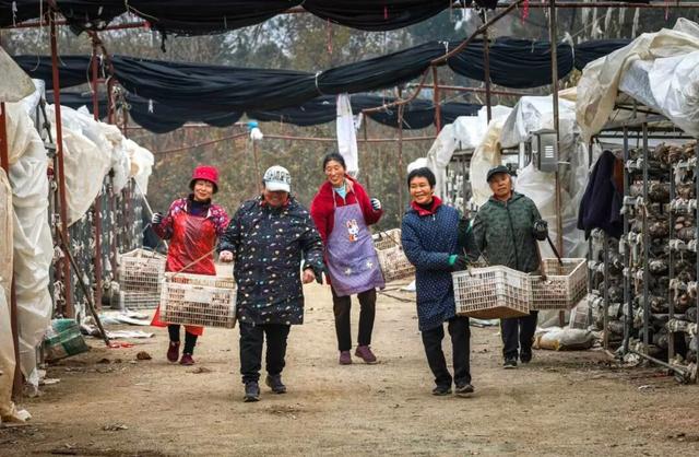 国家能源之声丨总要来趟随州吧！