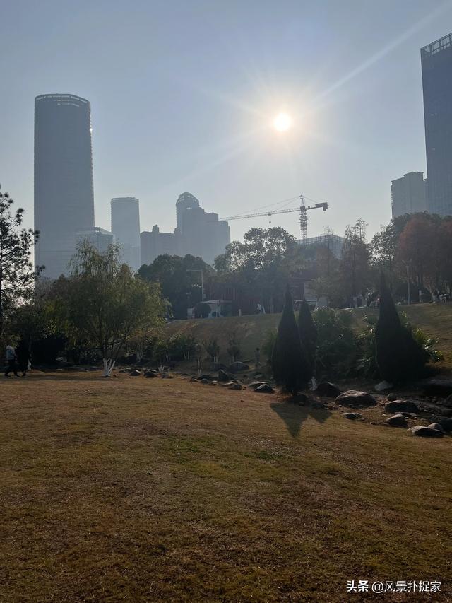 南昌凤凰洲湿地公园，美的不像话！