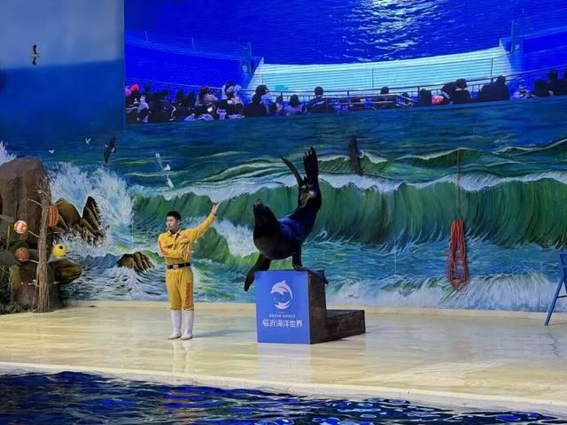 临沂太会玩了！你的短途出行计划，一键收藏