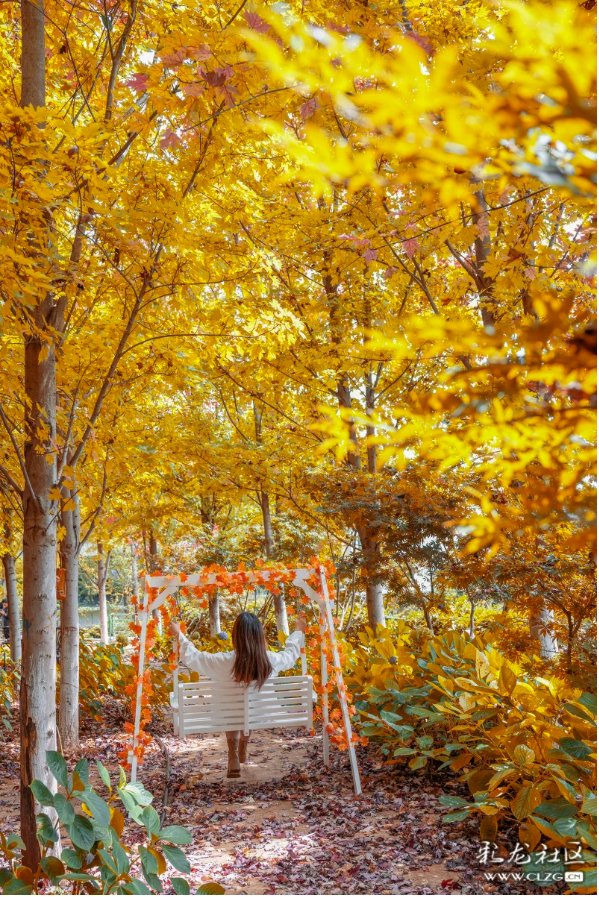 旅居云南·昆明好在（二十八）避寒游邂逅春城美