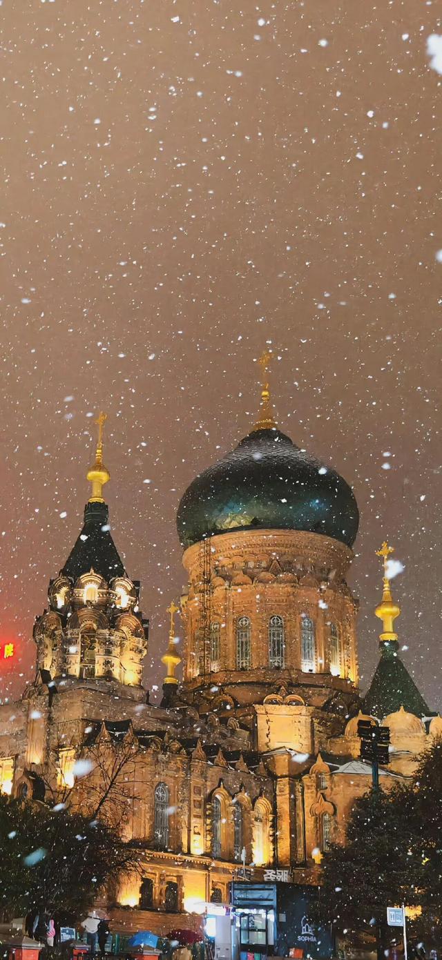 冬至快乐～盼一场大雪，而后春归