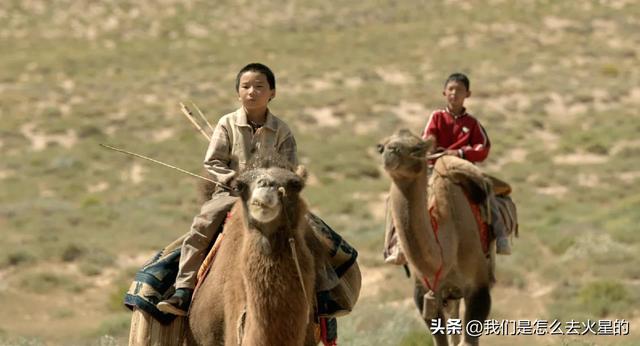 和方大侠一起种梭梭树吧