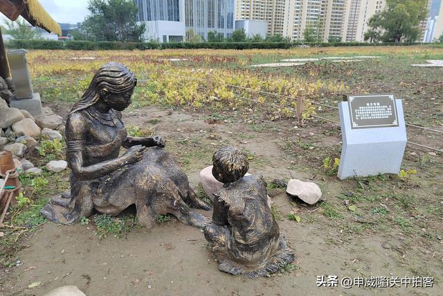 西宁市：走进沈那遗址公园