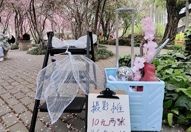 1亿年轻人集体“撤退”！旅游业火爆如常，为何景区却冷清成空城