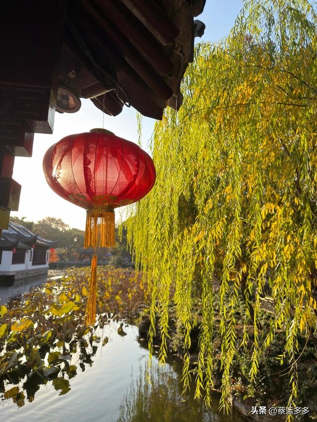 沪上园林古猗园已达颜值巅峰