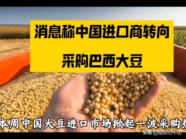 贪心砸了饭碗？巴西硬抬价，中国 130 万吨大豆瞬间流向阿根廷！