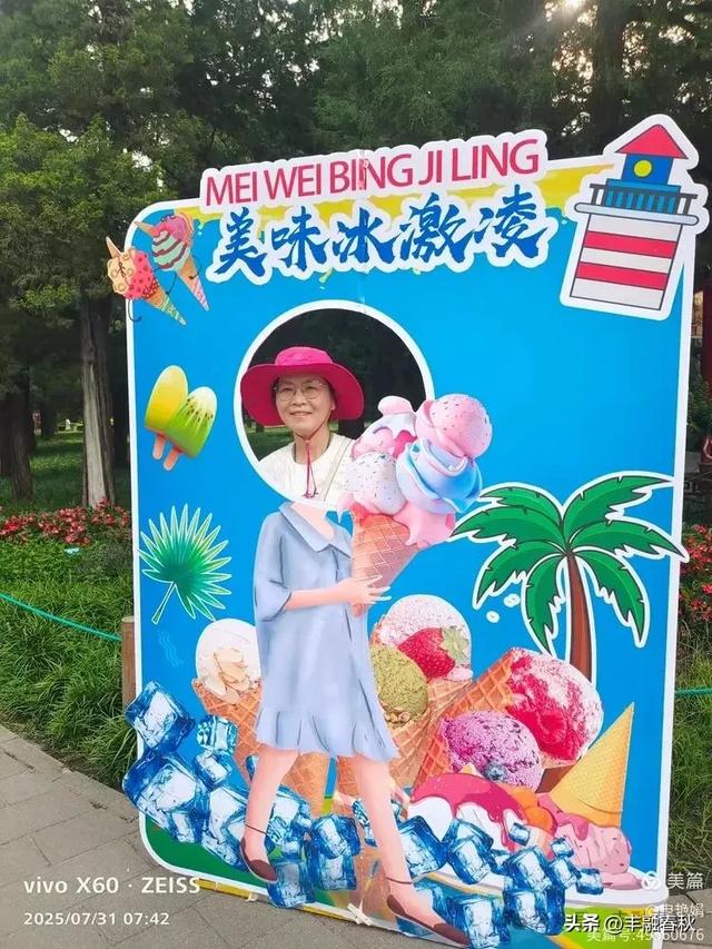 北京景山公园向日葵花海,夏日盛景| 申艳娟