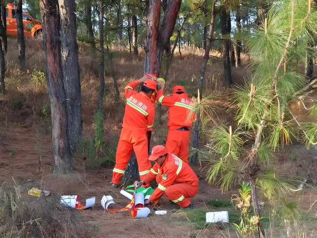 被裁数百人！特朗普裁减林务局岗位，人手告急致防火系统拉响警报