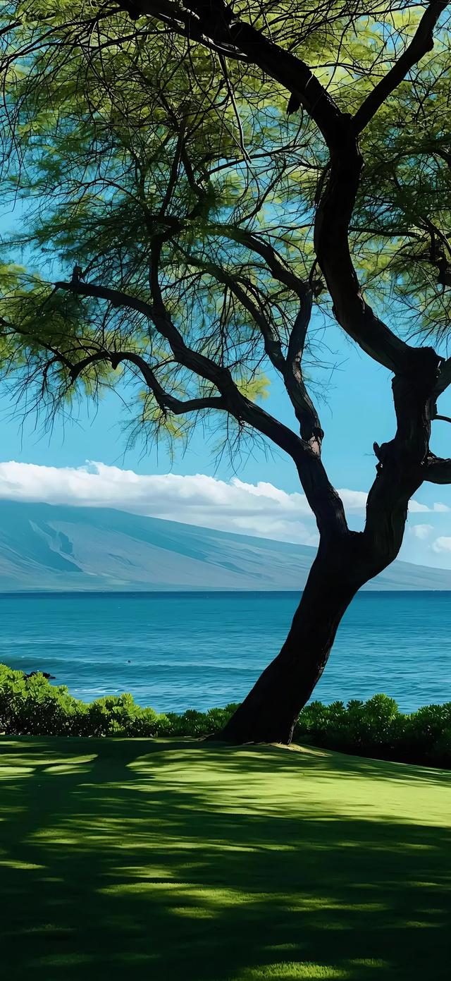手机壁纸|简约的自然风光美景
