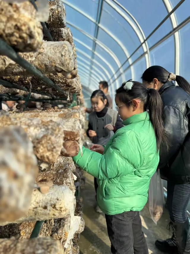 刚刚传来，颍东竟有这么多宝藏地？！今天，好多阜阳人都去了！直击现场......