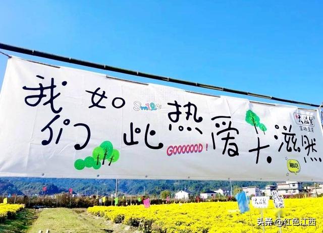 硒土菊黄，明月山的金色情书