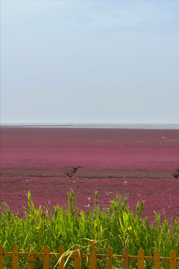 超3万公里，中国最牛环线！108天环祖国一圈，退休自驾路线Top1