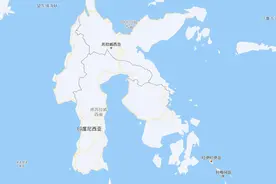 印尼总统普拉博沃称“若检测DNA，很多印尼人都含有华人血统”图片