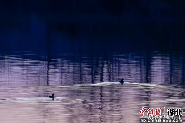 湖北随州晚霞宜人 市民乐享好时光