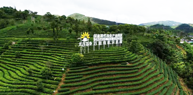 跟着赛事去旅行 | 骑到普洱思茅才知道 茶+咖=我的多巴胺双倍风暴