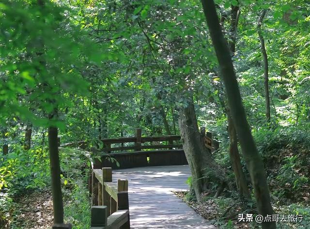 成都难得的清凉徒步胜地，在都江堰隔壁，不要门票，超级凉爽。