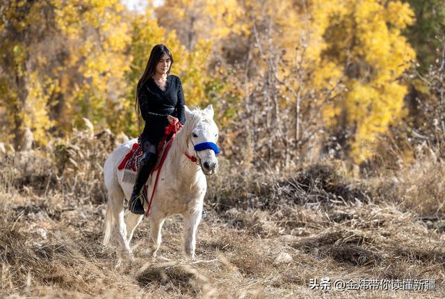 新疆阿瓦提县第二届金胡杨节“胡杨公主”评选演绎美丽动人故事