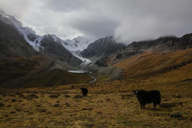 贡嘎大环线：在雪山的凝视下，与艰辛同行之日乌且（原创）