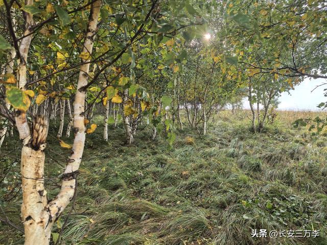 北上大草原第7站：入住贡格尔草原深处