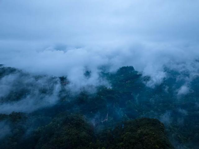 全域好水 亲水纳凉 | 在武夷山，与所有疲惫温柔和解