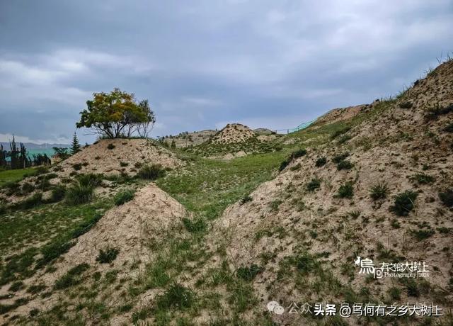 兰州汪家湾墓群：毗邻明长城，封土下已被挖成悬崖未见棺椁