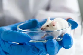 研究表明：遗传决定了寿命长短，难道人类的寿命一出生就决定了？图片