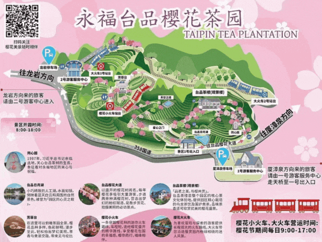 龙岩周末去哪儿｜看游龙、赏樱花，本周末必冲的两大惊喜目的地→