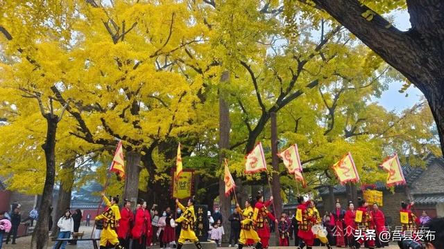首日突破10000人！浮来山银杏季从从容容花式“宠客”！