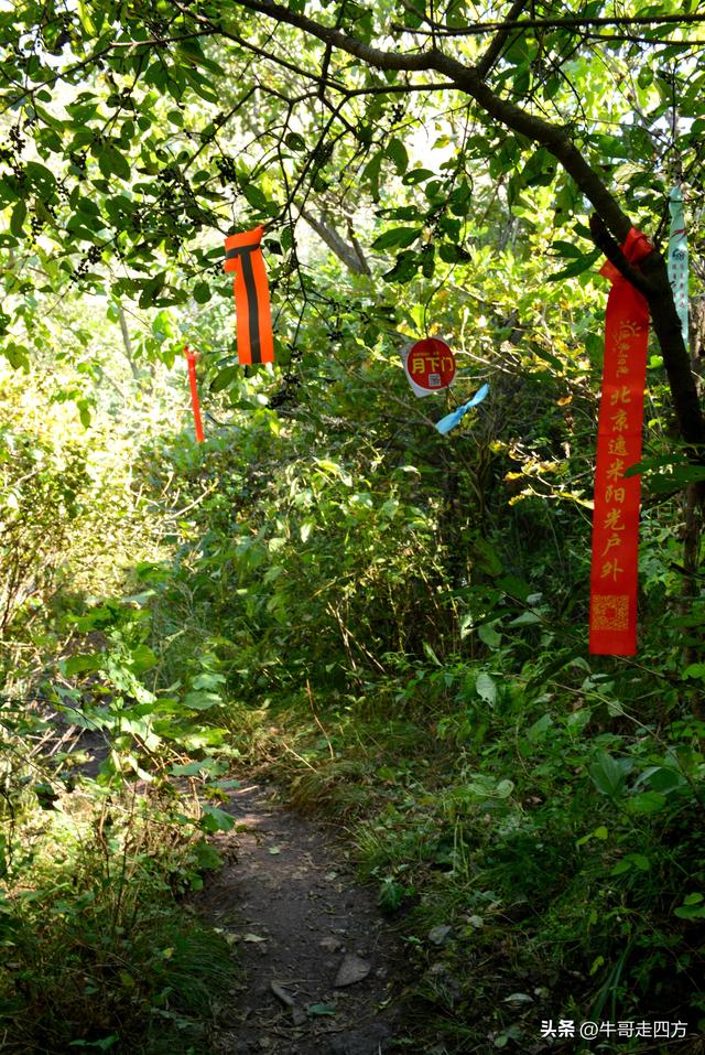 延庆应梦寺（五）：山巅极目收千嶂，林海听风涤尘心