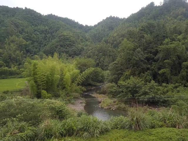 端阳喜伴小溪河，独有诗心迷远足——徒步小溪河散记（三）