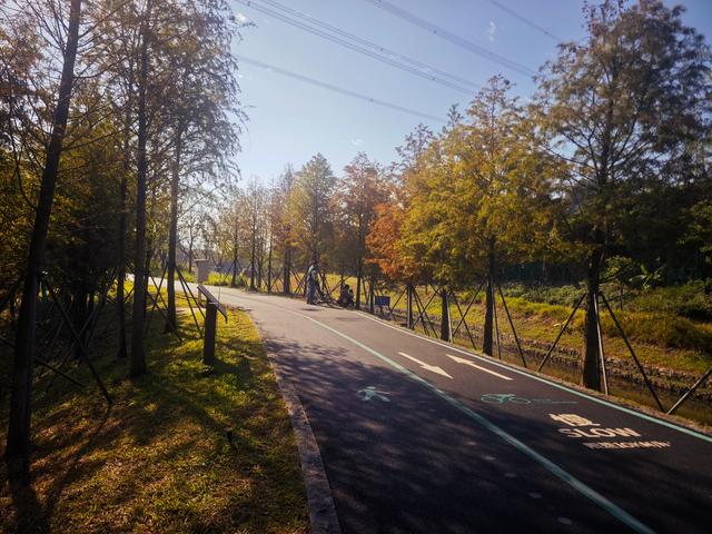 从丽康路穿荔园溪谷至西丽湖绿道骑行随拍