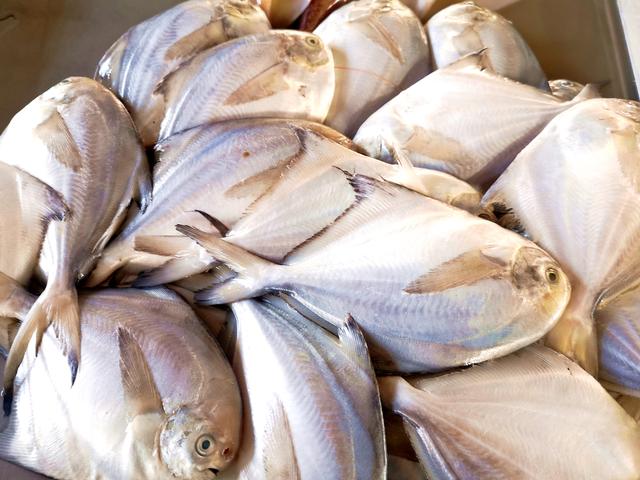 这6种鱼千万别错过，无法人工养殖，全是野生的，营养很高还便宜