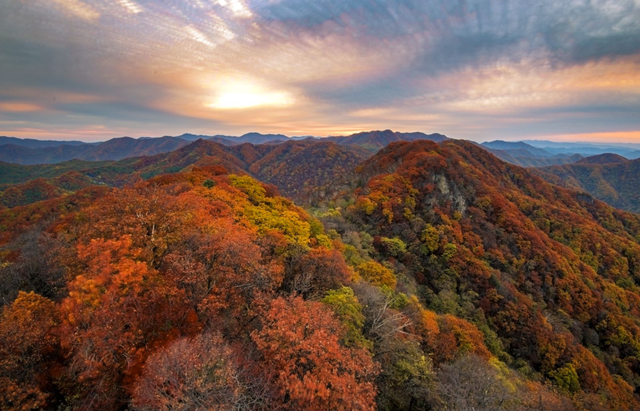 集“线”打卡！“错过集安的秋季，我将无法原谅自己”