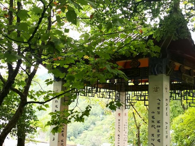 康县：秋雨、青年与白云山的邂逅