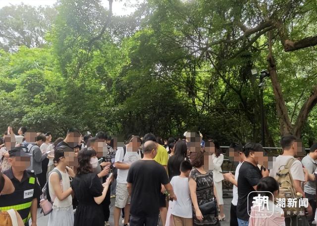 全杭州的人都出动了？这是今天的西湖、灵隐寺、满觉陇！部分道路禁止车辆通行