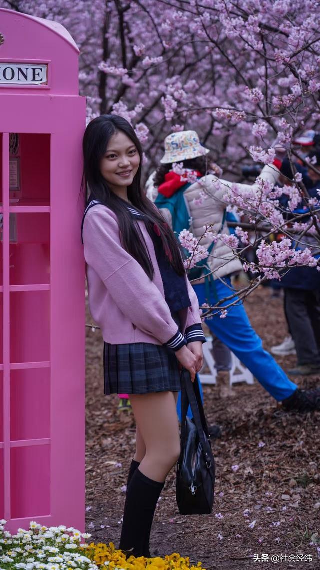 每日一景|寒意未消春意先至 南京中山植物园早樱绽放迎游人