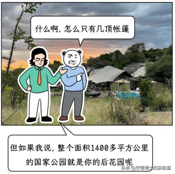 从一星级、二星级，到五星级、七星级酒店，究竟有啥区别？