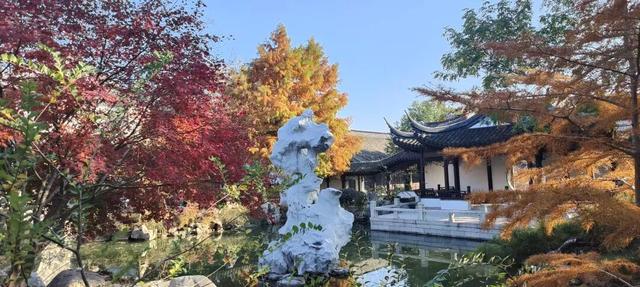 寻美薛城丨谁还没去？薛城小江南留园山庄这片初冬美景秘境藏不住了，速来打卡！
